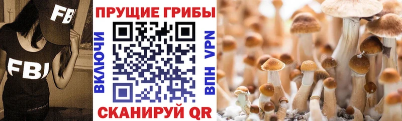 Псилоцибиновые грибы мухоморы  цена наркотик  Лабинск 